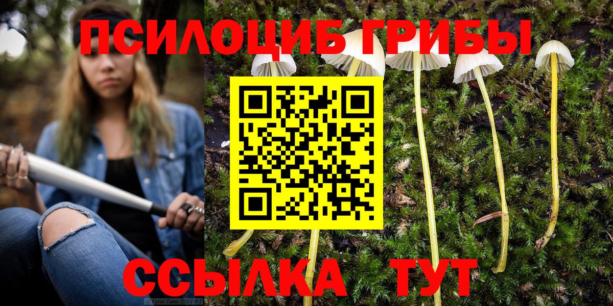 Псилоцибиновые грибы Magic Shrooms  Псилоцибиновые грибы Psilocybe  Каменск-Шахтинский  Вход с VPN 